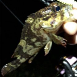 リトルロックゲーム