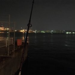 大阪湾奥アジング シブい