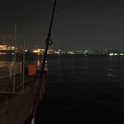 大阪湾奥アジング シブい