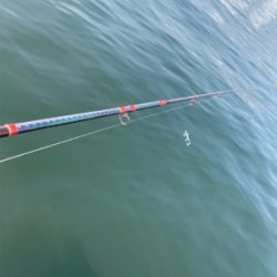 またツバスからの『?』と巨エイ