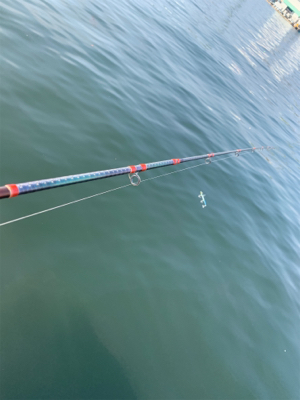 またツバスからの『?』と巨エイ