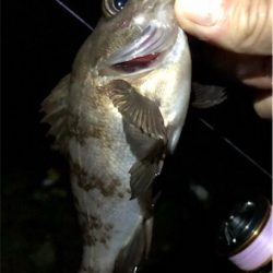 ガシメバガシメバ