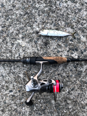 水が濁っていた。