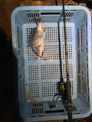 今日もいつもの