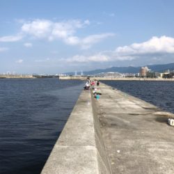 未だアジに出会えず。