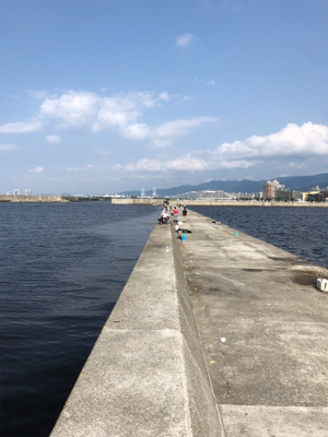 未だアジに出会えず。