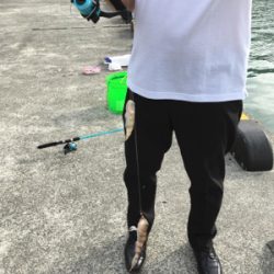 出張ついでで釣り