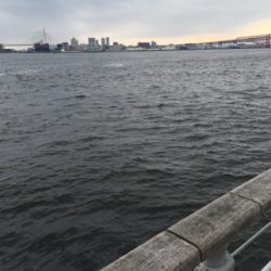 G20前のツバス調査