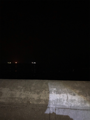 マリーナタチウオ