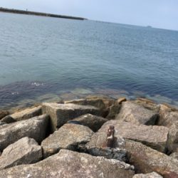 はじめてのキス釣り