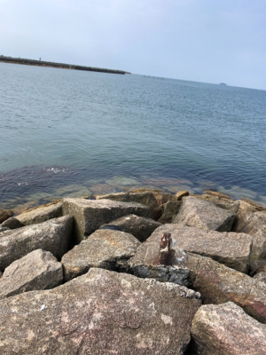 はじめてのキス釣り