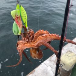 オクトパッシング