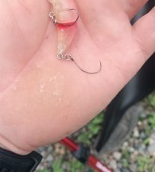 川場キングダム