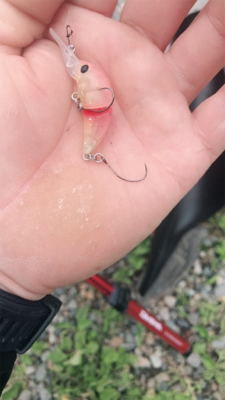 川場キングダム