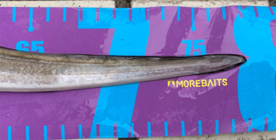 こんなの初めて(//∇//)