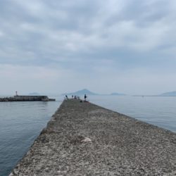 はっ！こ、コブダイッ！