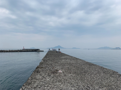 はっ！こ、コブダイッ！