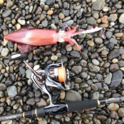 七里御浜ショアジギング