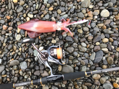 七里御浜ショアジギング