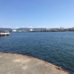 ライトショアジギング