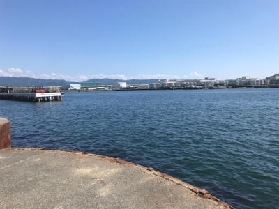 ライトショアジギング