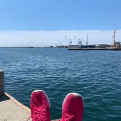 相変わらずな渋ツバス