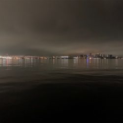 シーバス放浪も