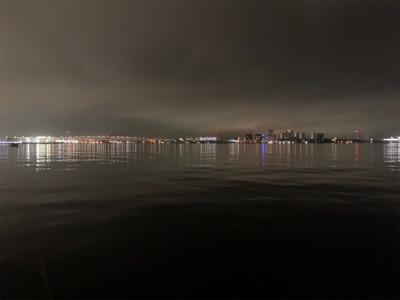 シーバス放浪も