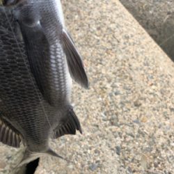 戦闘機が頭上を飛ぶ。チニング