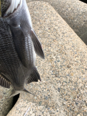 戦闘機が頭上を飛ぶ。チニング