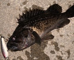 ６０分一本勝負！