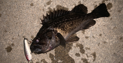 ６０分一本勝負！