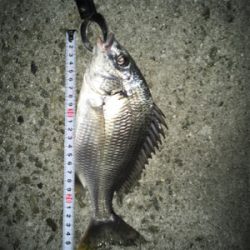 厳戒態勢中の釣り