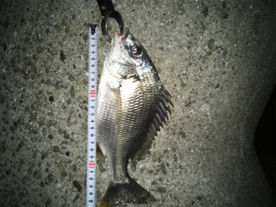 厳戒態勢中の釣り