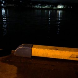 アジング アジング 楽しいなー。