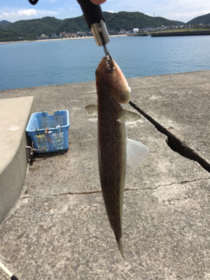 G20の為、仕事が休みになったので