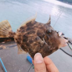 ゆる〜くライトロック！