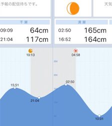 逃した魚は大きい??