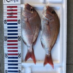 お食い初め釣行