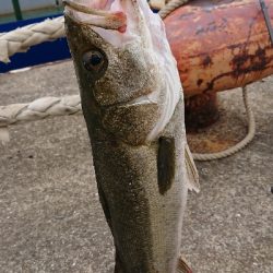 令和一の停泊船ゲーム