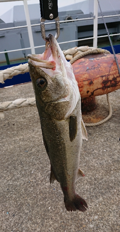 令和一の停泊船ゲーム