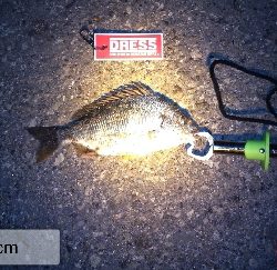 1年振りのいつもの所