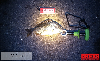 1年振りのいつもの所