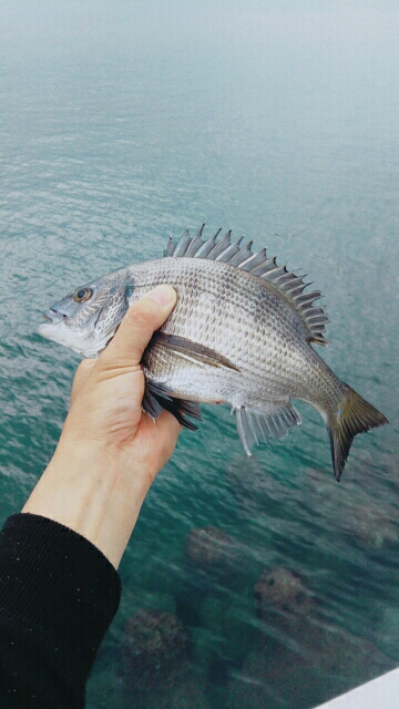 梅雨の合間の釣行
