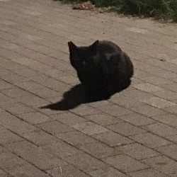 入れ替わりましたね!