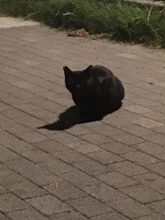 入れ替わりましたね!