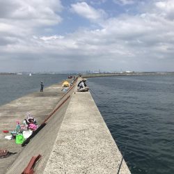 昼から大サバ狙い