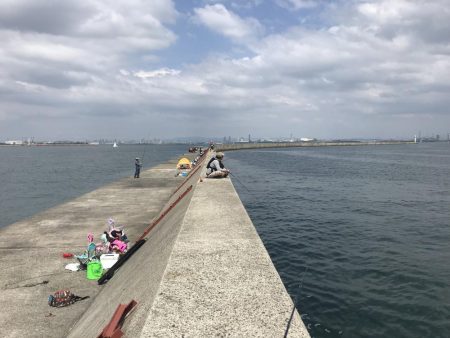 昼から大サバ狙い