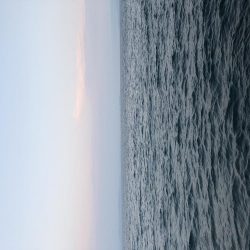 またまたサビキにショアジギング