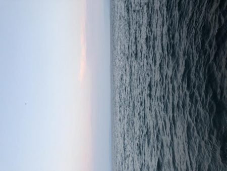 またまたサビキにショアジギング